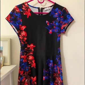 Parker Short Sleeve Fit & Flare Dress, Size Small